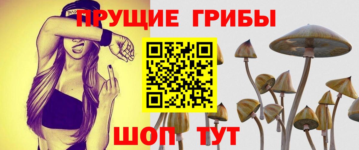 Галлюциногенные грибы Magic Shrooms  Вход с VPN  Советск 